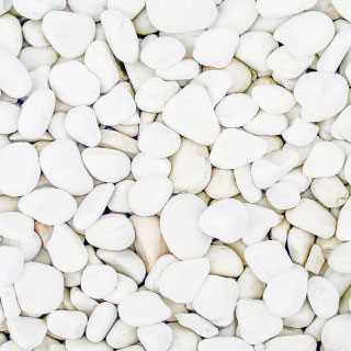 Тради ции и новатор ство